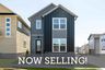 casa en NoVi Chatham Park - The Mews Collection por David Weekley Homes