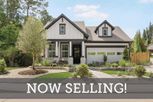 Colton 45' Homesites - Montgomery, TX