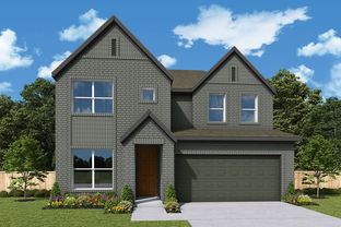 Holly - Mayfair 45': New Braunfels, Texas - David Weekley Homes