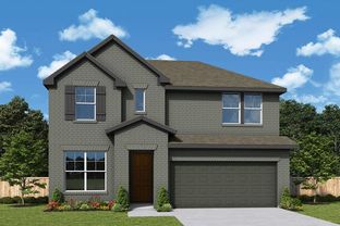 Gladiola - Mayfair 45': New Braunfels, Texas - David Weekley Homes