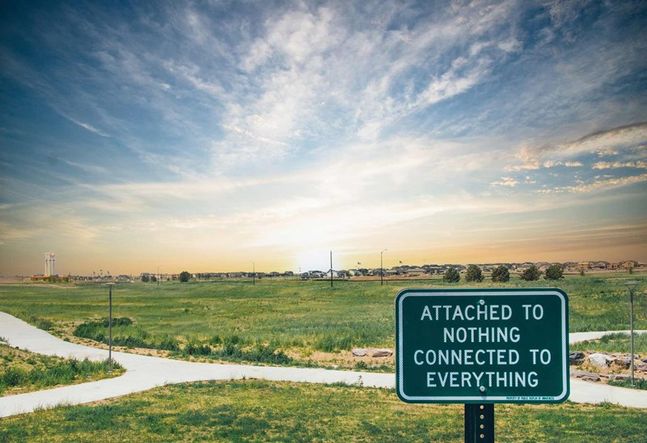 The Aurora Highlands - Public Displays of Awareness