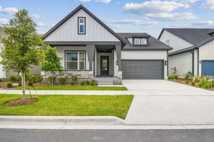 Whimsical - Weslyn Park in Sunbridge 50': Saint Cloud, Florida - David Weekley Homes