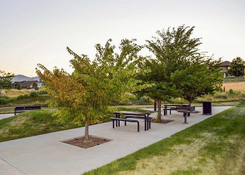Sunflower Park