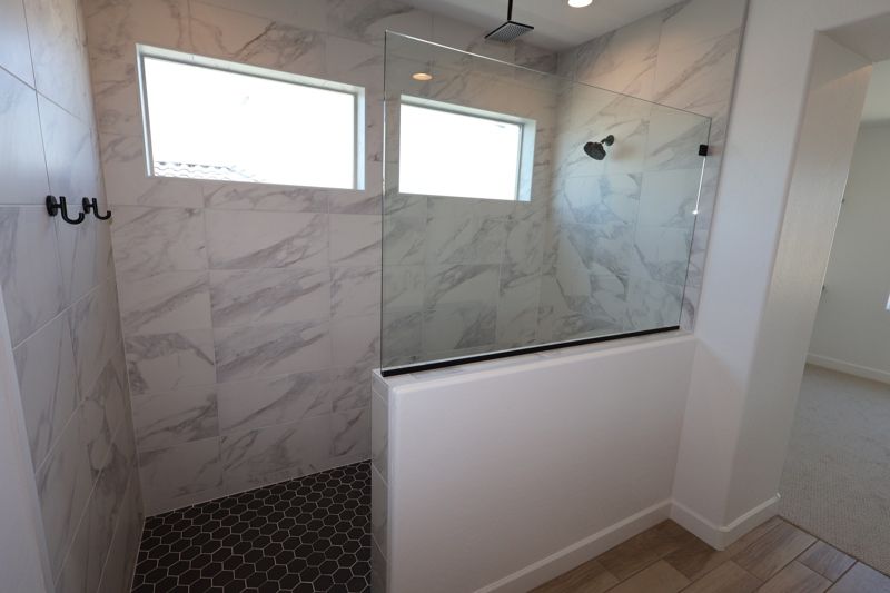 Owner's Bath