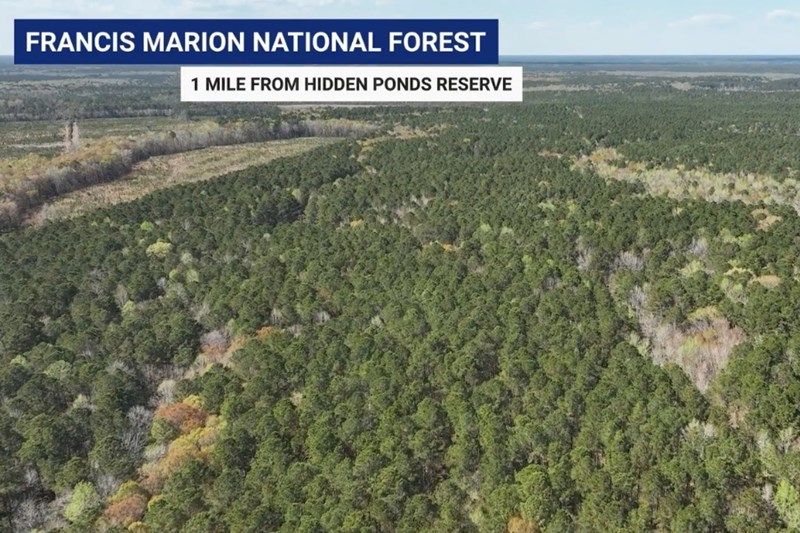 Hidden Ponds Reserve Area Amenities