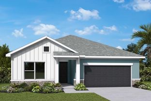 Gaspar - Waterset Classic Series: Apollo Beach, Florida - David Weekley Homes