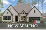 ARTAVIA 65' Homesites - Conroe, TX