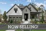 homes in ARTAVIA 50’ Homesites by David Weekley Homes