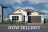homes in Tavolo at Soleo by David Weekley Homes