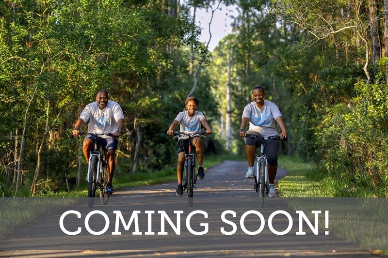 Westerly Park at Wildlight - Coming Soon