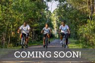 Westerly Park at Wildlight - Courtyard Collection por David Weekley Homes en Jacksonville-St. Augustine Florida
