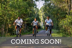 Westerly Park at Wildlight - Courtyard Collection - Yulee, FL