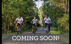 Westerly Park at Wildlight - Courtyard Collection: Yulee, Florida - David Weekley Homes