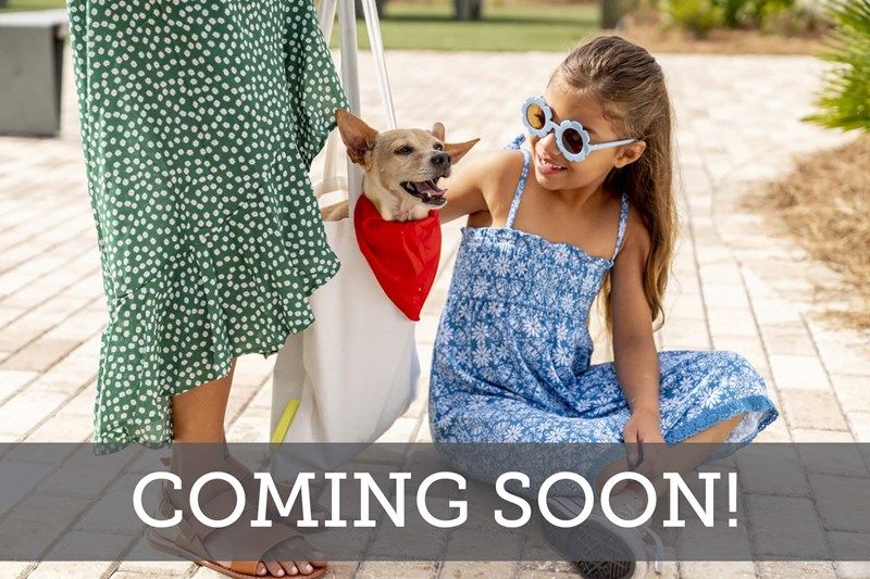 Westerly Park at Wildlight - Coming Soon