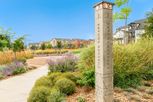 Baseline 33' - The Peaks Collection - Broomfield, CO
