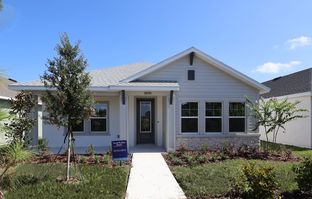 Redwood - Persimmon Park - Cottage Series: Wesley Chapel, Florida - David Weekley Homes