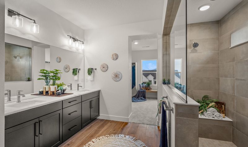 Owner's Bath