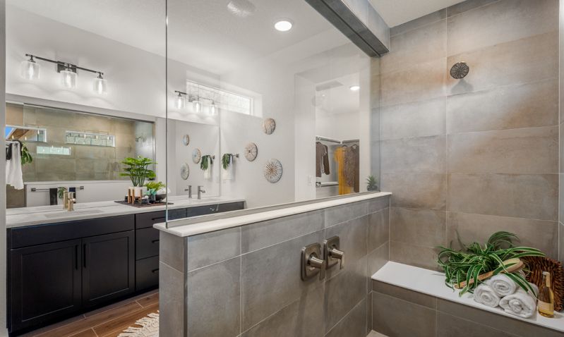 Owner's Bath