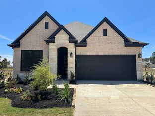Athens - ARTAVIA 45' Homesites: Conroe, Texas - David Weekley Homes