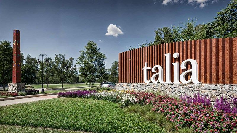 Talia - Entrance