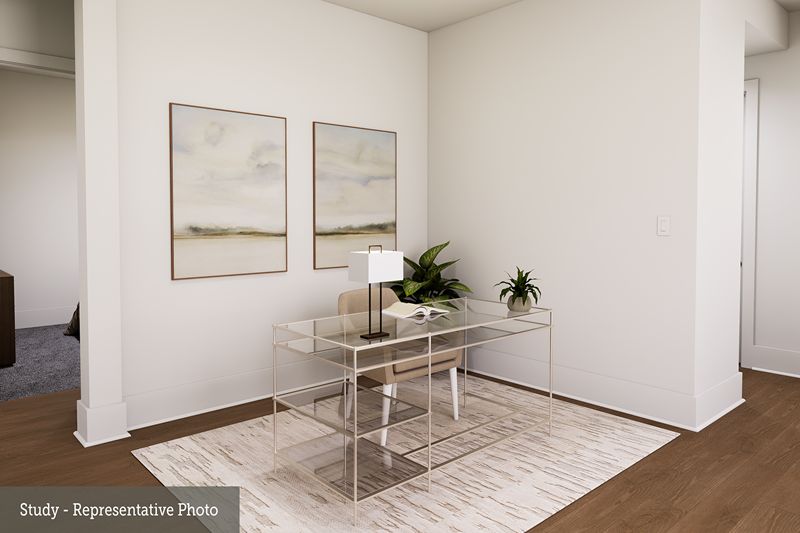 The Cleveland - Study