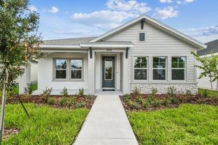 Redwood - Persimmon Park - Cottage Series: Wesley Chapel, Florida - David Weekley Homes