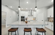 Oakfield at Mount Dora Cottage Series: Mount Dora, Florida - David Weekley Homes
