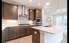 NoVi Chatham Park - The Mews Collection: Pittsboro, North Carolina - David Weekley Homes