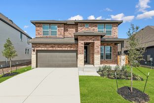 Gladiola - Mayfair 45': New Braunfels, Texas - David Weekley Homes