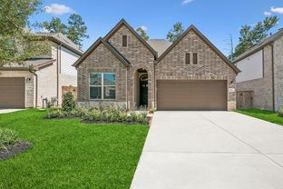 Genoa - The Woodlands Hills 45': Willis, Texas - David Weekley Homes