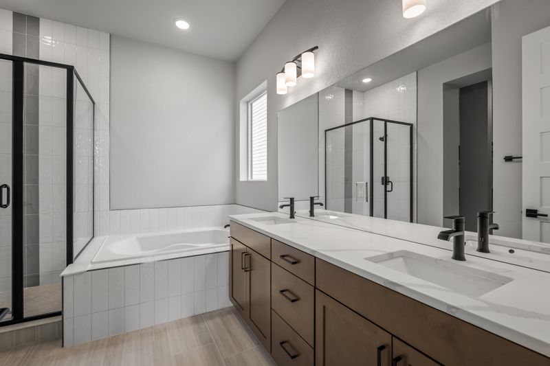 Owner's Bath