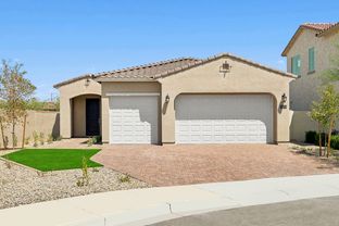 Darlington - Ironwing at Windrose: Litchfield Park, Arizona - David Weekley Homes