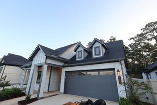 Penmark - Audubon 45' Homesites: Magnolia, Texas - David Weekley Homes