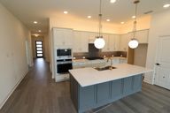 Meridiana 55' Homesites por David Weekley Homes en Houston Texas
