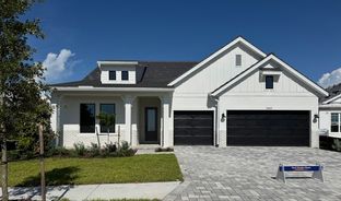 Rubytail - Palmera Wellen Park: Venice, Florida - David Weekley Homes