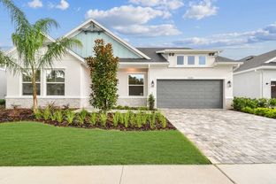 Colston - Palmera Wellen Park: Venice, Florida - David Weekley Homes