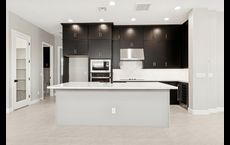 Ironwing at Windrose: Litchfield Park, Arizona - David Weekley Homes