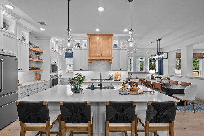 The Lotus - Kitchen