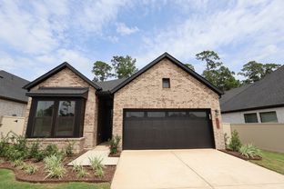 Gladesdale - Audubon 45' Homesites: Magnolia, Texas - David Weekley Homes