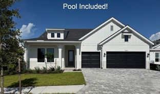 Rubytail - Palmera Wellen Park: Venice, Florida - David Weekley Homes