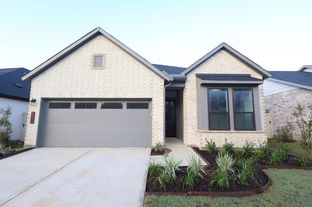 Gladesdale - Audubon 45' Homesites: Magnolia, Texas - David Weekley Homes