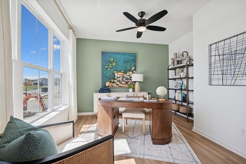 The Freeborn - Study