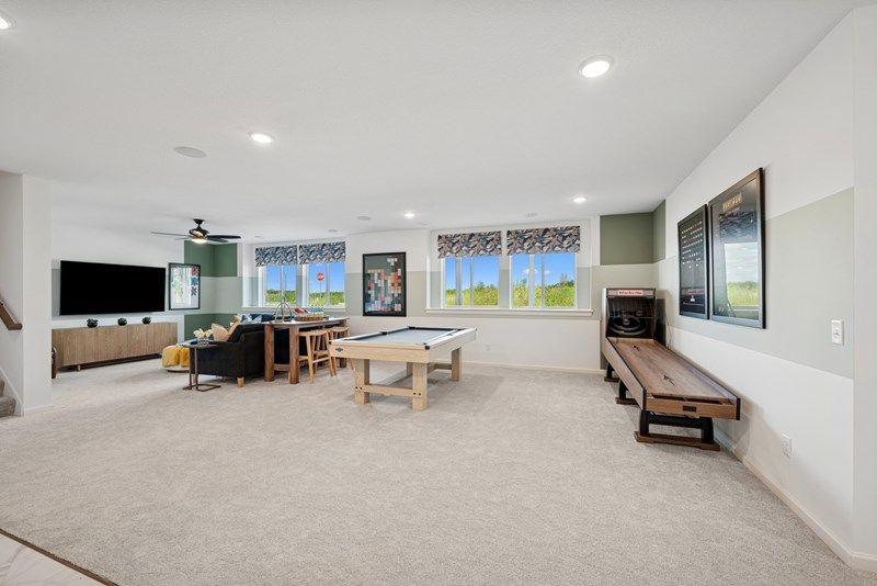 The Freedeom - Basement