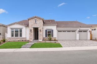 Whitlock - Canyon Views – 80’ Paradise Series: Litchfield Park, Arizona - David Weekley Homes
