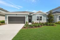 The Peninsula at Rhodine Lake por David Weekley Homes en Tampa-St. Petersburg Florida