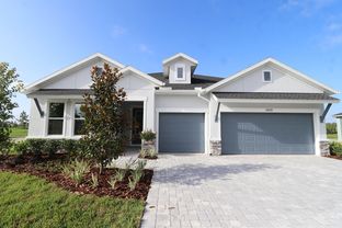 Borrelli - Chapel Crossings – Classic Series: Wesley Chapel, Florida - David Weekley Homes