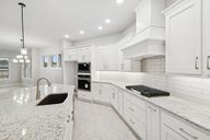 Grand Central Park 55' Homesites por David Weekley Homes en Houston Texas