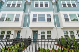 Carsten - Towns at Union: St Petersburg, Florida - David Weekley Homes