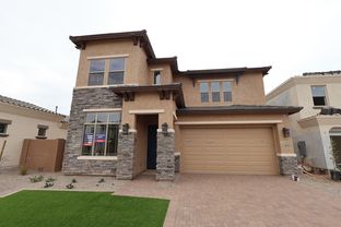 Hummingbird - Harvest – Meadows Collection: Queen Creek, Arizona - David Weekley Homes