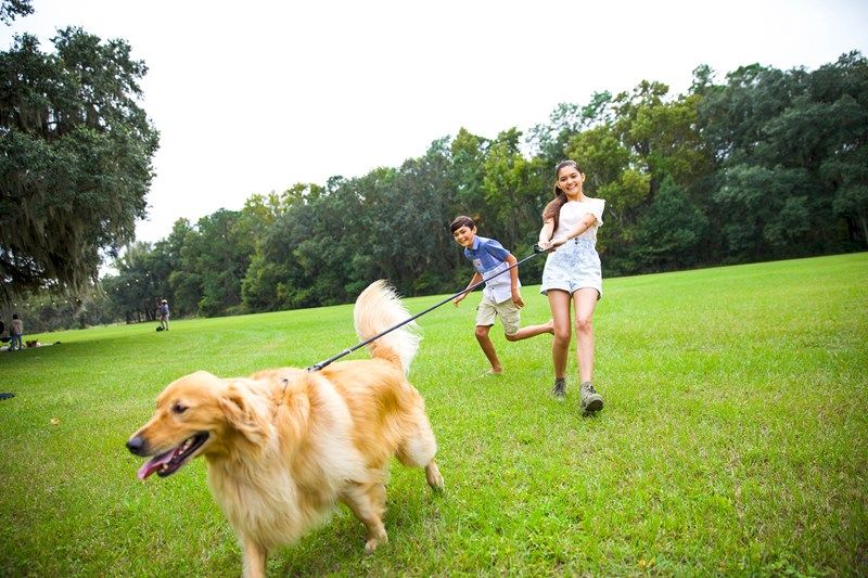 Mariposa at EverRange